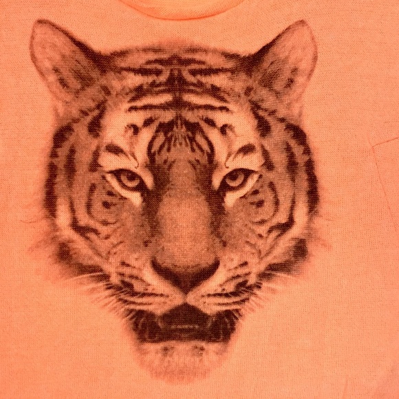 Zara Knit Neon Orange Top - Size M - Picture 2 of 5